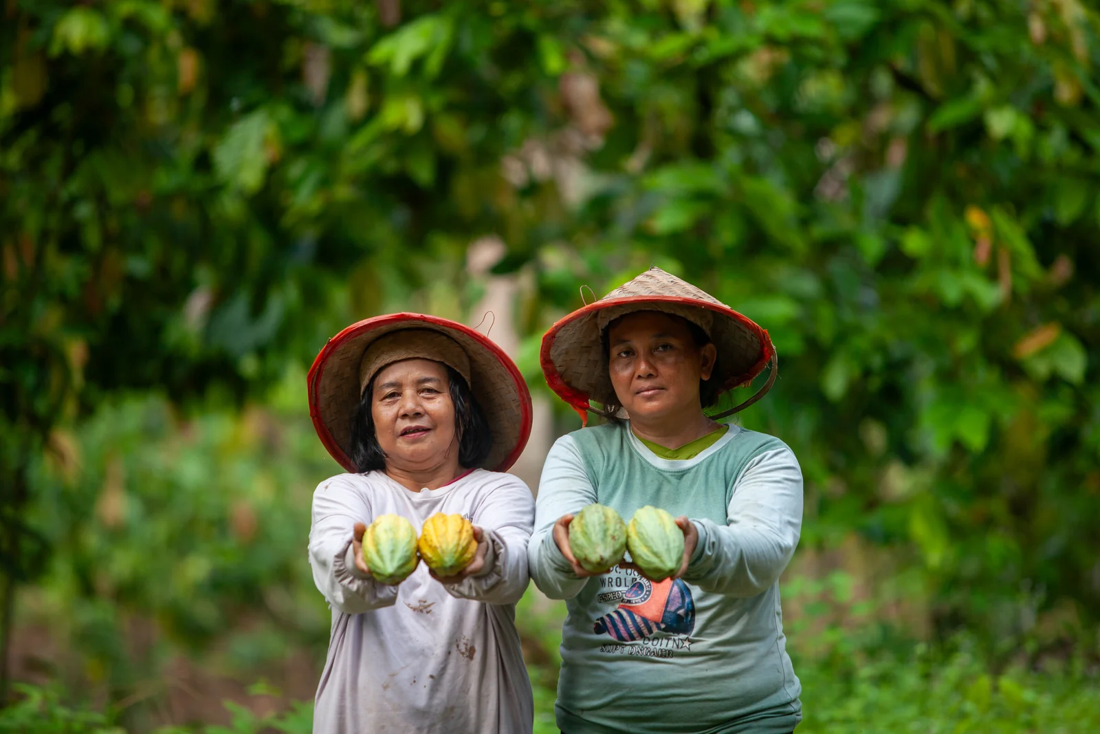 Dua petani mitra perempuan memegang buah kakao hasil panen di kebun