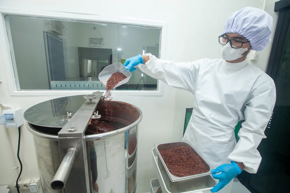 Staf menuang nib kakao ke dalam melangeur untuk digiling jadi massa cokelat