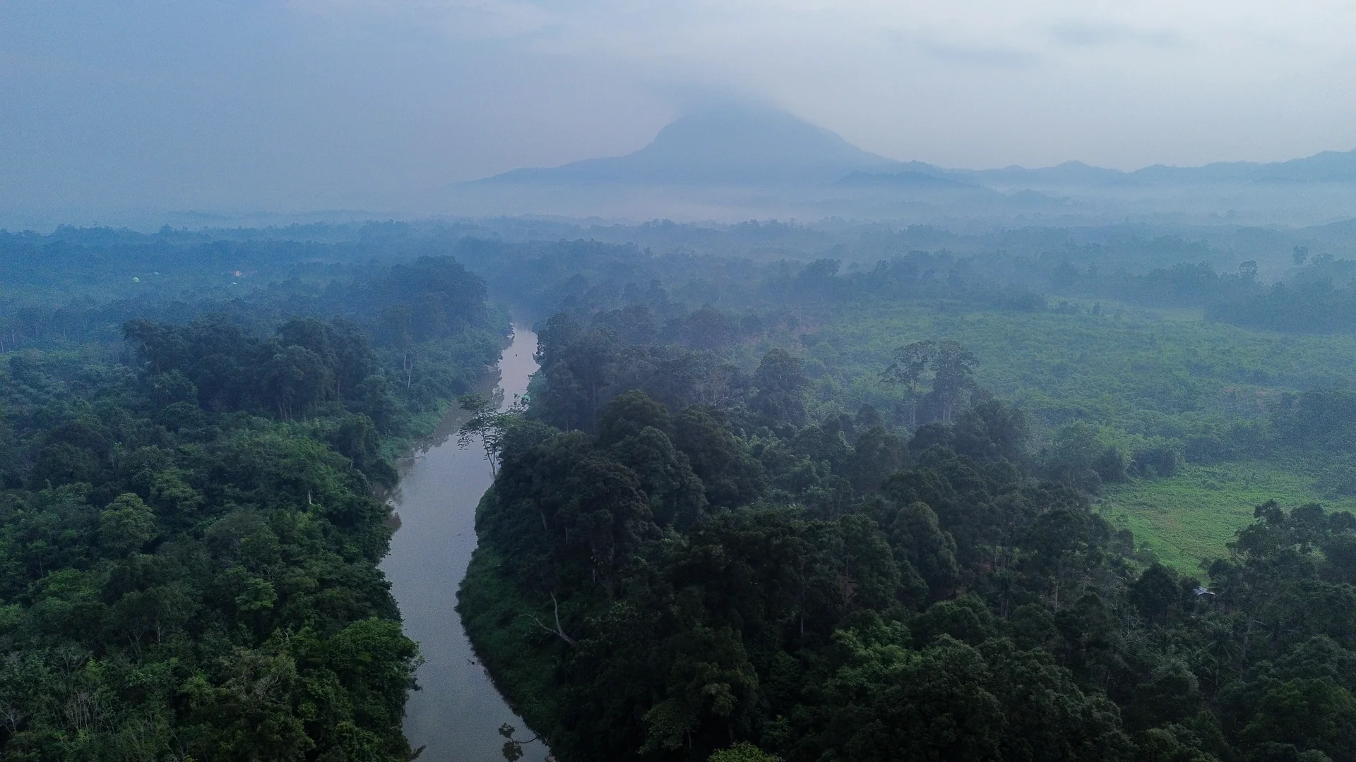 Pandangan udara sungai berkabut yang membelah hutan Kalimantan